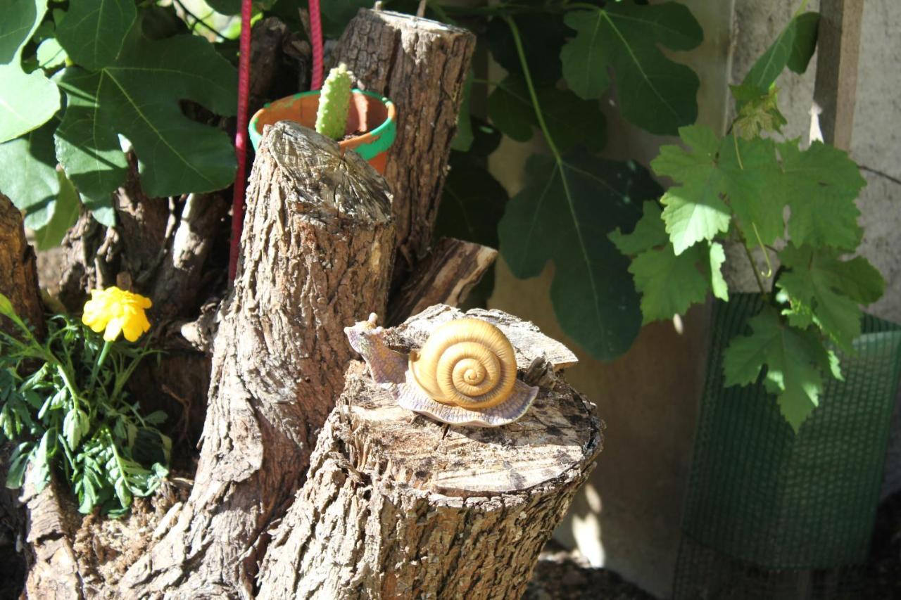 סנט היפולייט Gite Le Cep D'Or Alsace מראה חיצוני תמונה